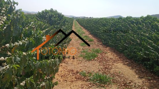 fazenda-venda-guape-mg-947207