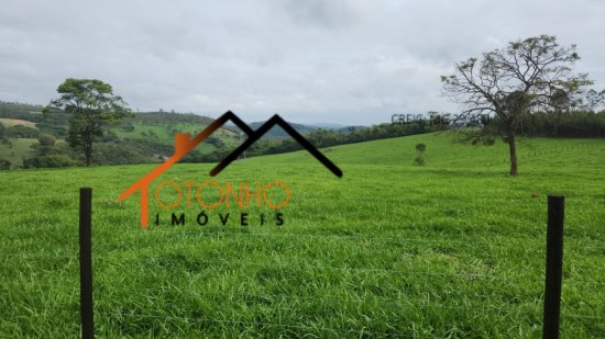 fazenda-venda-pedra-do-indaia-mg-1013172