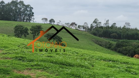 fazenda-venda-pedra-do-indaia-mg-1013174