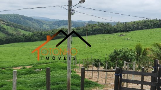 fazenda-venda-pedra-do-indaia-mg-1013180