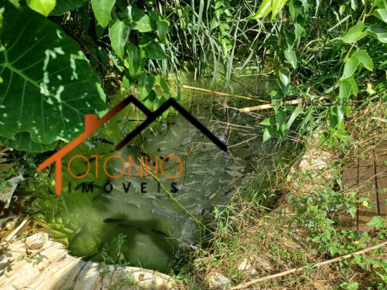 sitio-venda-piumhi-mg-1024451