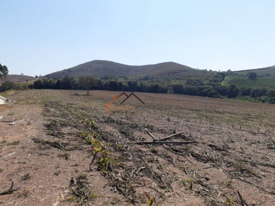 fazenda-venda-piumhi-mg-534475