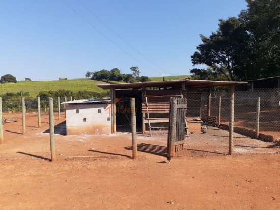 fazenda-venda-piumhi-mg-534484