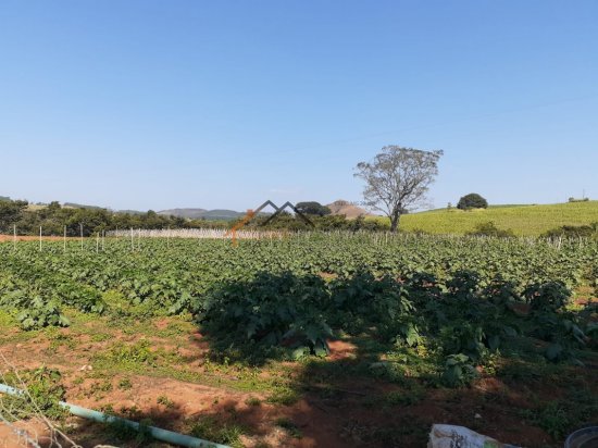 fazenda-venda-piumhi-mg-534489