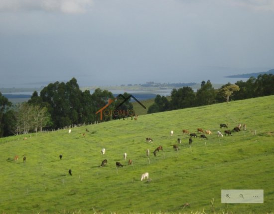 fazenda-venda-pimenta-mg-470130