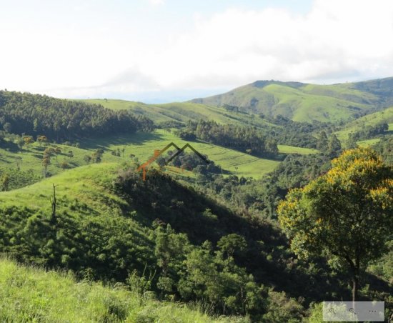 fazenda-venda-pimenta-mg-470132