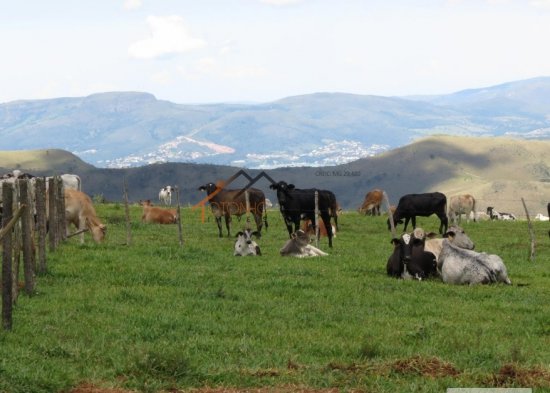 fazenda-venda-pimenta-mg-470137