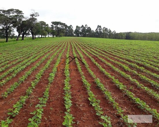 fazenda-venda-pimenta-mg-470150