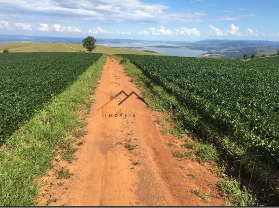 fazenda-venda-pimenta-mg-470153