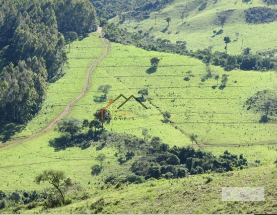 fazenda-venda-pimenta-mg-470155