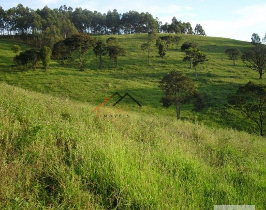 fazenda-venda-pimenta-mg-470157