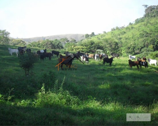 fazenda-venda-pimenta-mg-470160