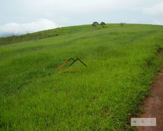 fazenda-venda-pimenta-mg-470162