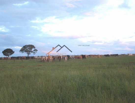 fazenda-venda-pimenta-mg-470164