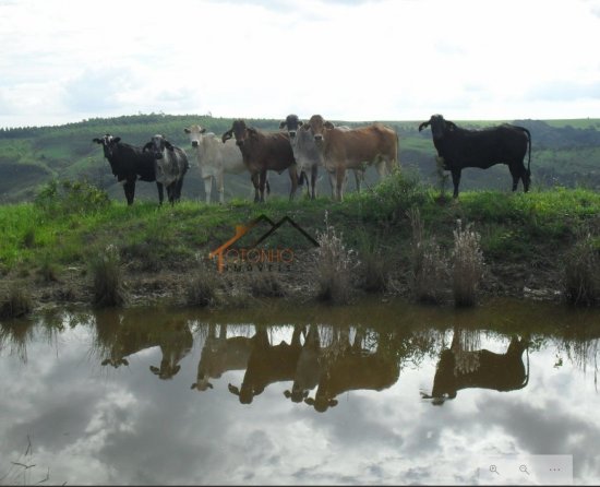 fazenda-venda-pimenta-mg-470166