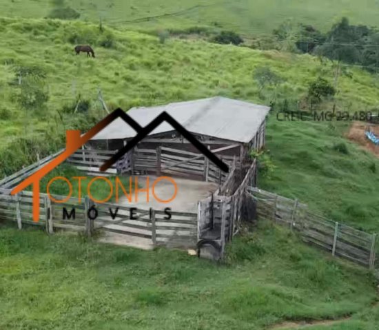 sitio-venda-guape-mg-1028127