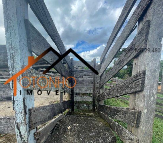 sitio-venda-guape-mg-1028131