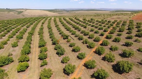 fazenda-venda-sao-roque-de-minas-mg-785043