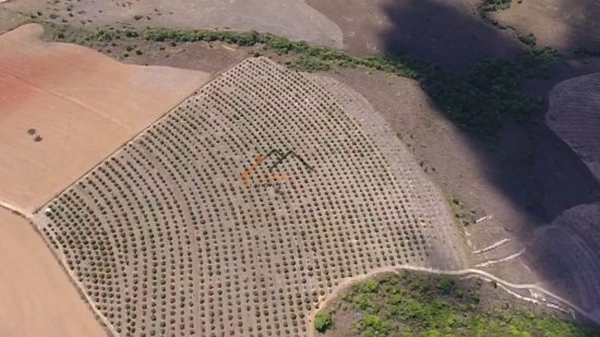 fazenda-venda-sao-roque-de-minas-mg-785044