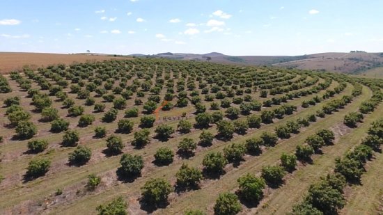 fazenda-venda-sao-roque-de-minas-mg-785046