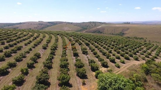 fazenda-venda-sao-roque-de-minas-mg-785047