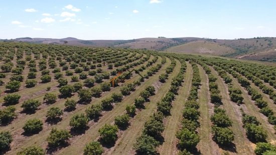 fazenda-venda-sao-roque-de-minas-mg-785048