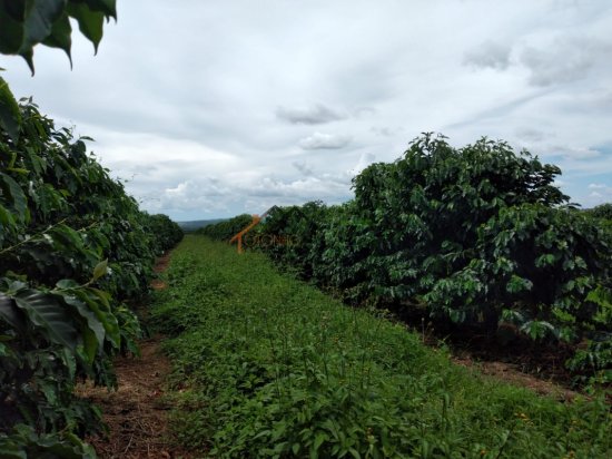 fazenda-venda-pimenta-mg-785646