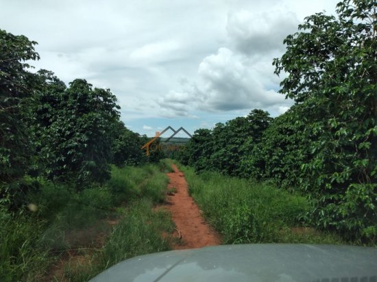 fazenda-venda-pimenta-mg-785650