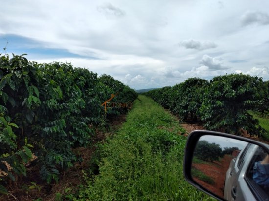 fazenda-venda-pimenta-mg-785655