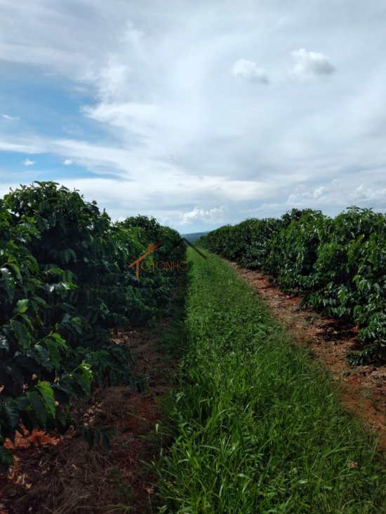 fazenda-venda-pimenta-mg-785658